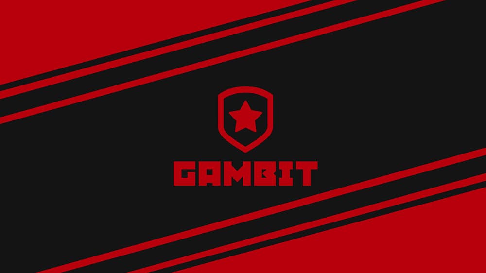 Dota 2: Gambit Reveals New Team